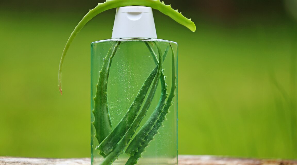 aloe vera gel for hair