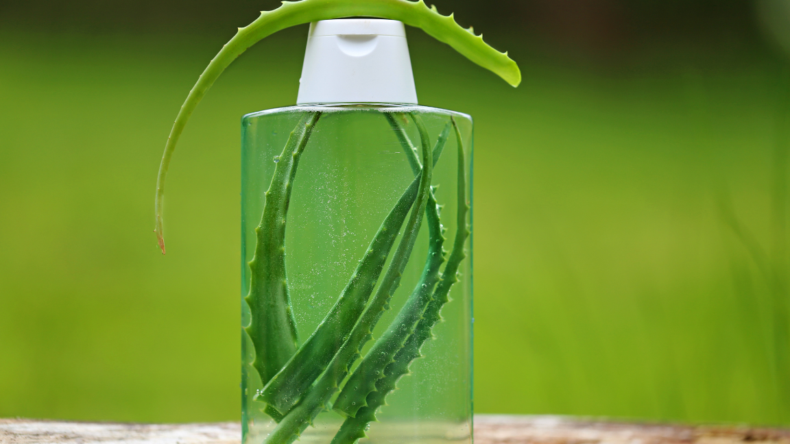 aloe vera gel for hair