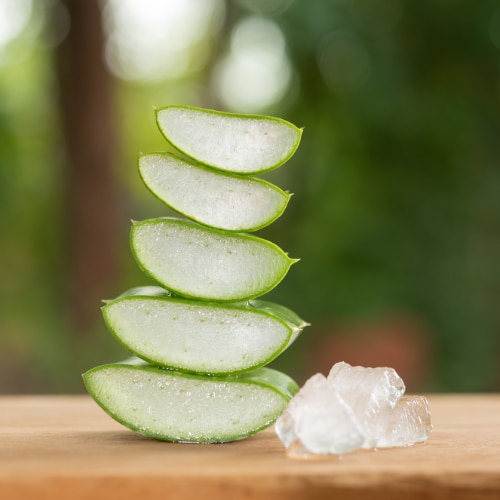 Image of Aloe Vera Gel for Hair: Benefits, DIY Uses, Growth Tips & How to Apply It Right