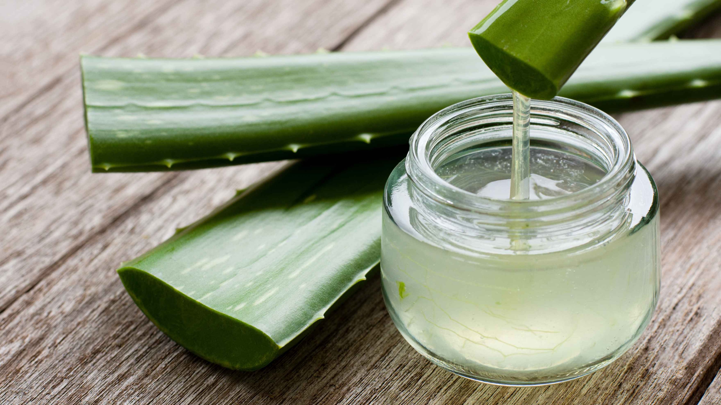 Aloe Vera