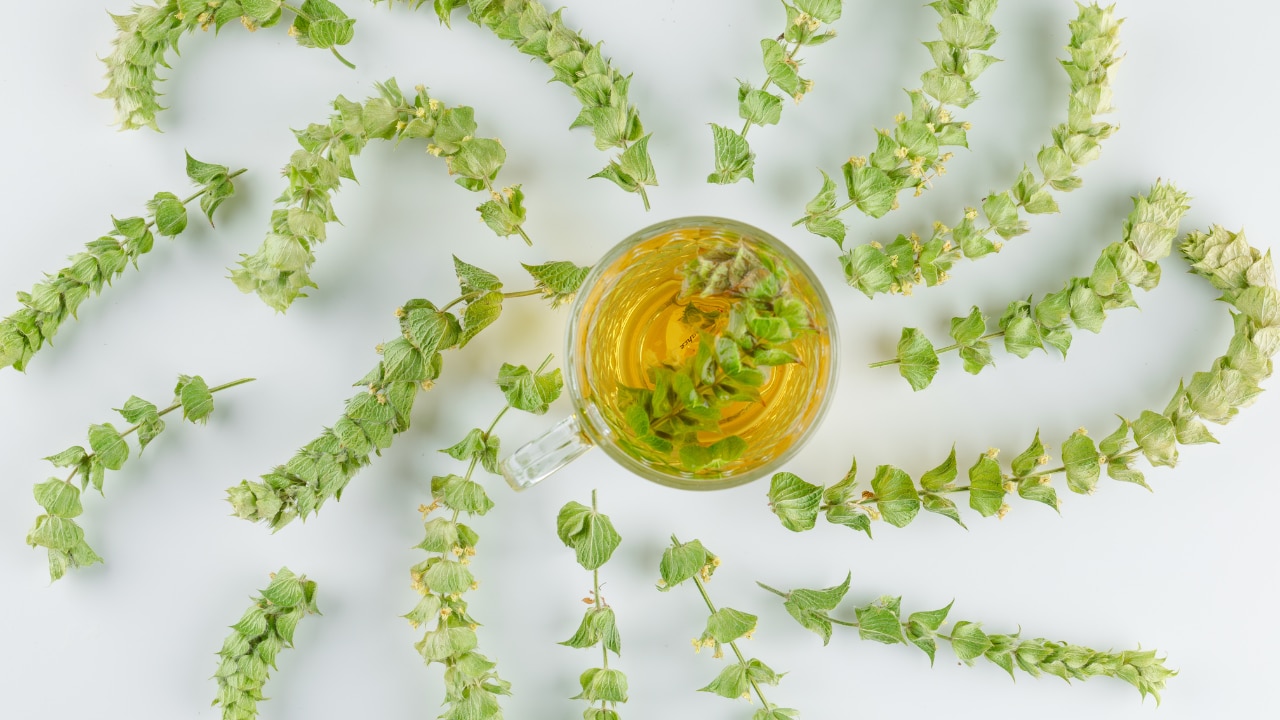 For Dandruff and Itchy Scalp: Tea Tree or Neem Oil Blends Image