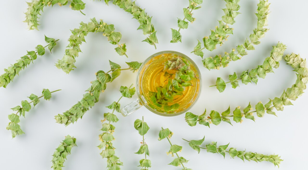 For Dandruff and Itchy Scalp: Tea Tree or Neem Oil Blends Image