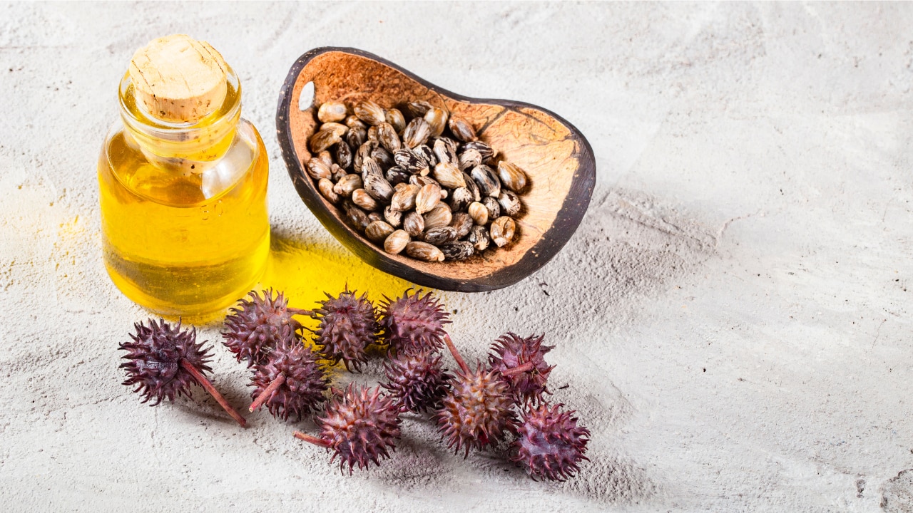 For Thicker, Stronger Hair: Onion and Castor Oil Mix Image