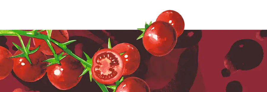 maille Group 1 desktop