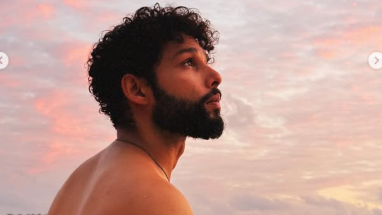 Curly Top with Low Fade Haircut image