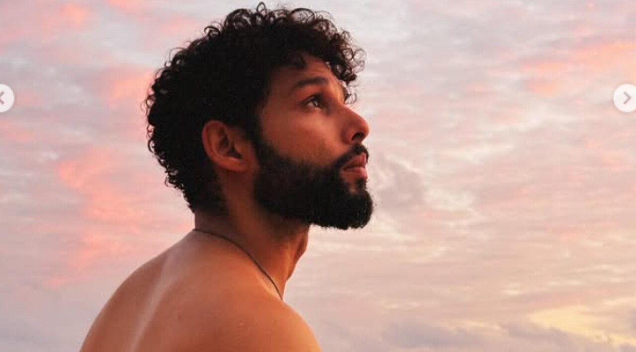 Curly Top with Low Fade Haircut image