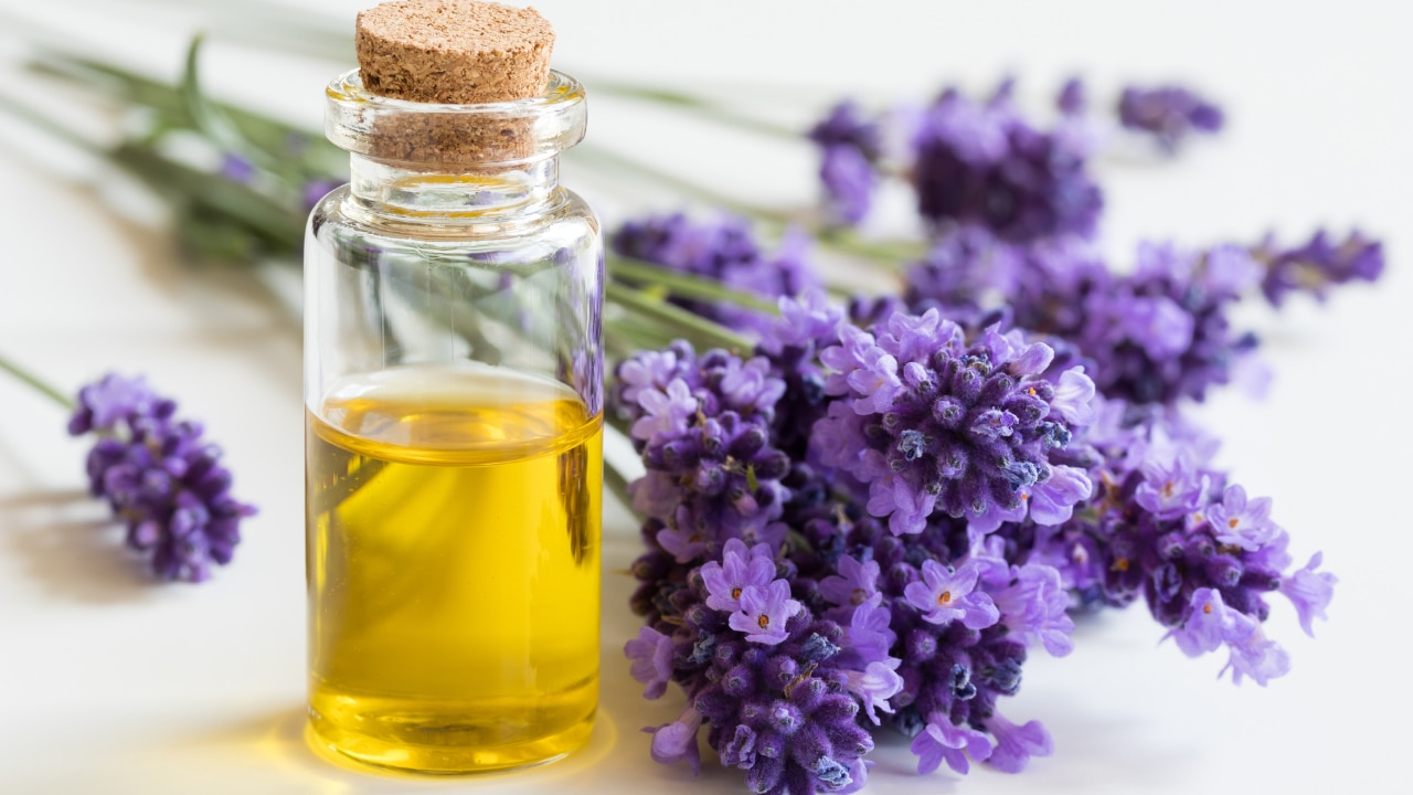 Choosing the Right Argan Oil