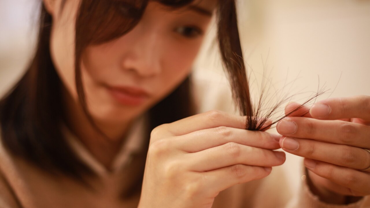 Seals Split Ends Description Image