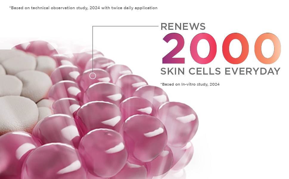 Renew Bright Banner three