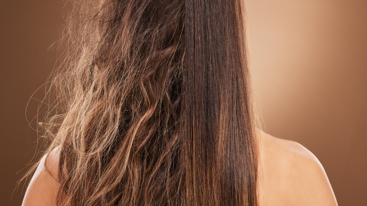 Frizz Control, Especially in Humid Climates