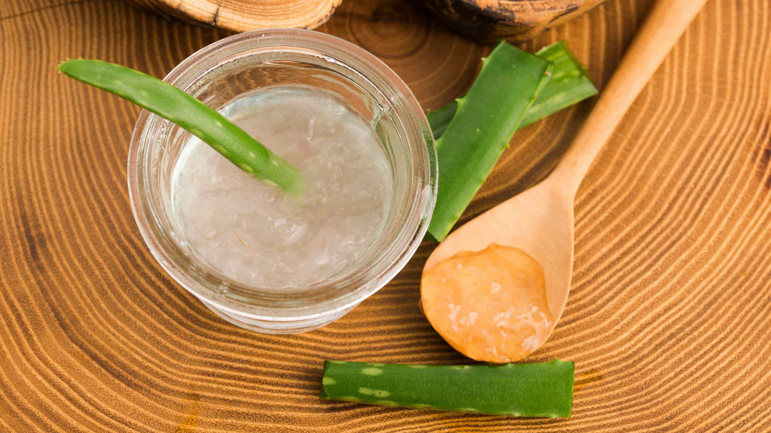 Aloe Vera Description Image