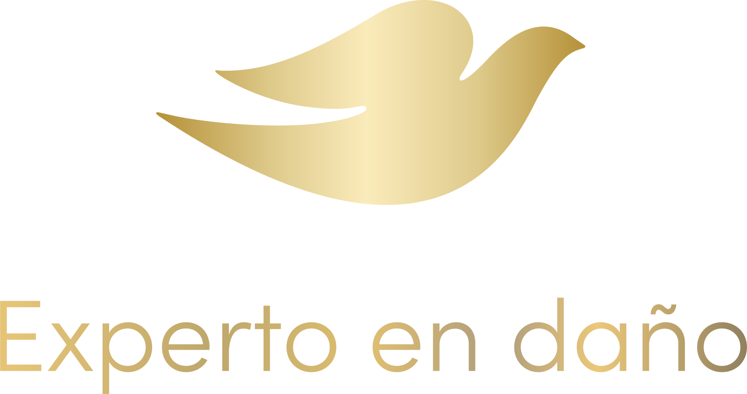experto en daño