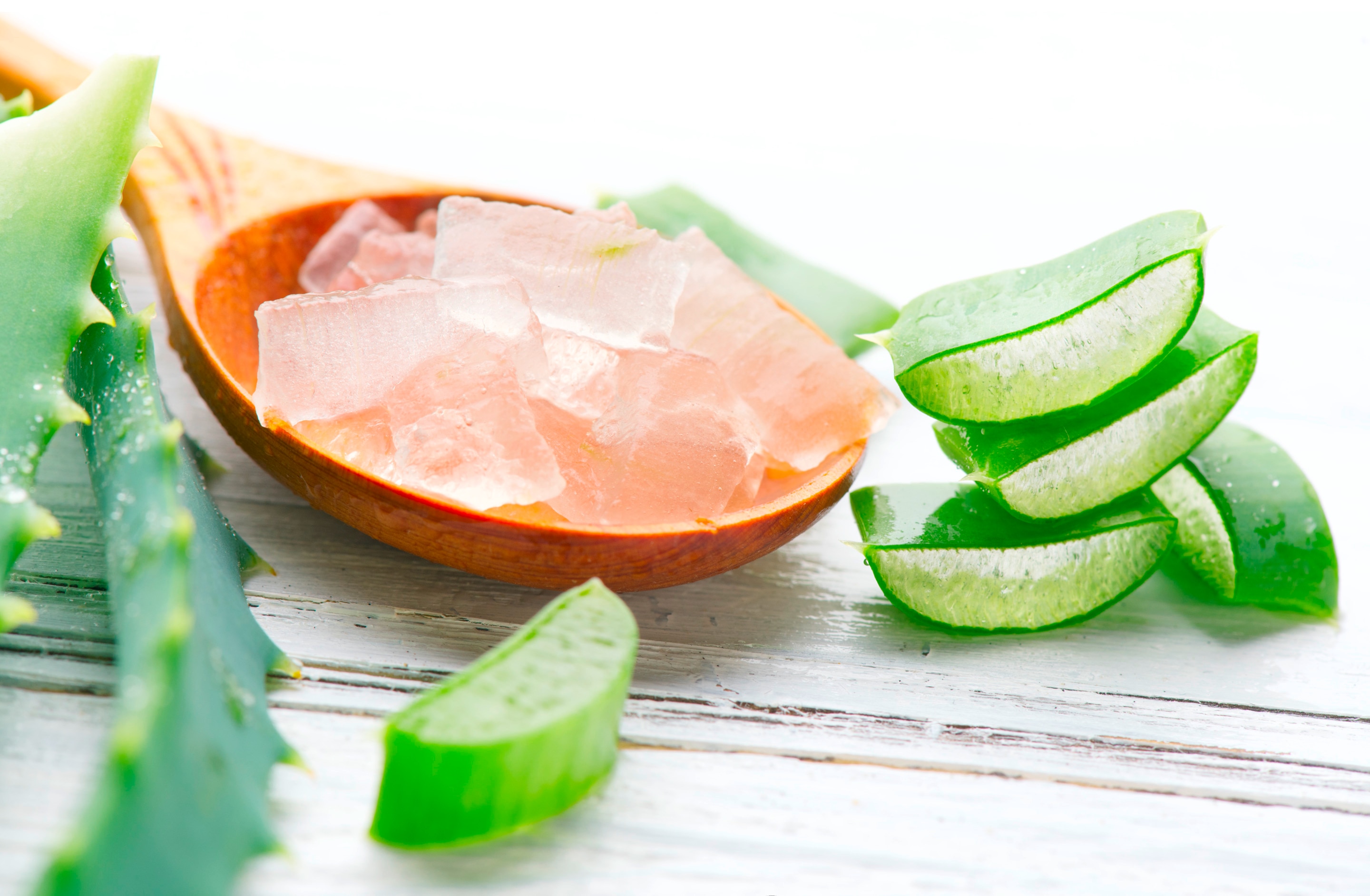 ว่านหางจระเข้ เนื้อเจลว่านหางจระเข้ในช้อนไม้ กิ่งว่านหางจระเข้ ว่านหางจระเข้ฝานเป็นชิ้น