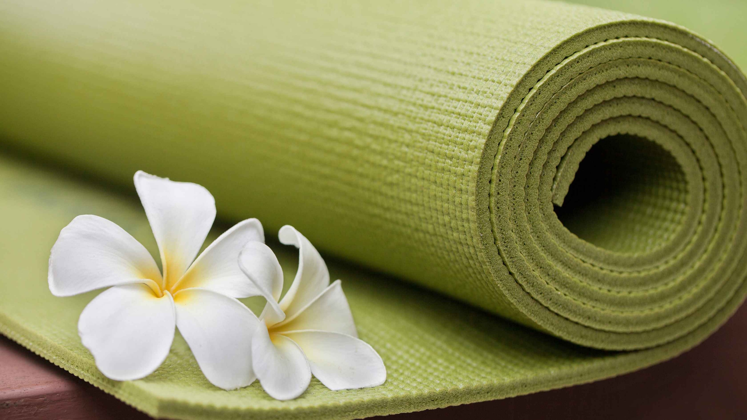 Expert Tips for Best Results