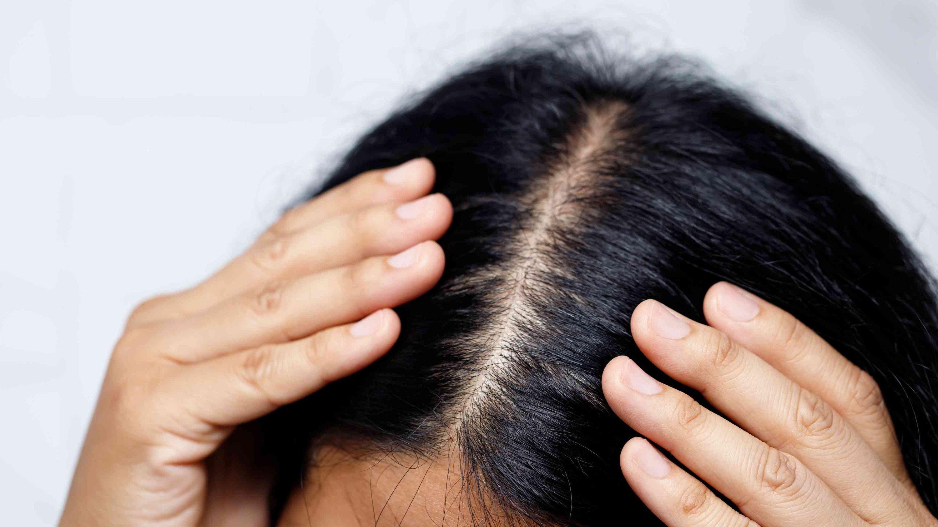 Section Your Hair Image