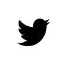 Twitter logo Text