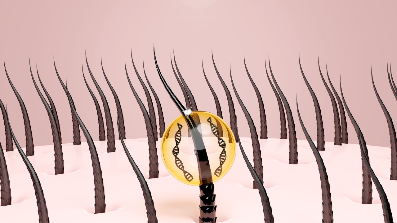 Supports Hair Follicle Growth: