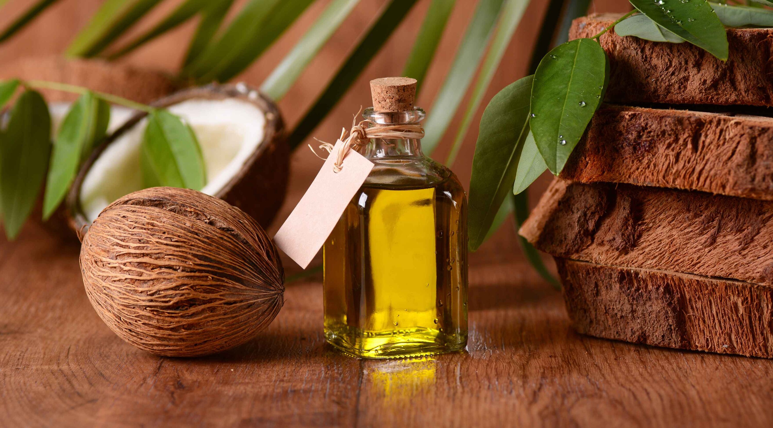 What Is Coconut Oil?