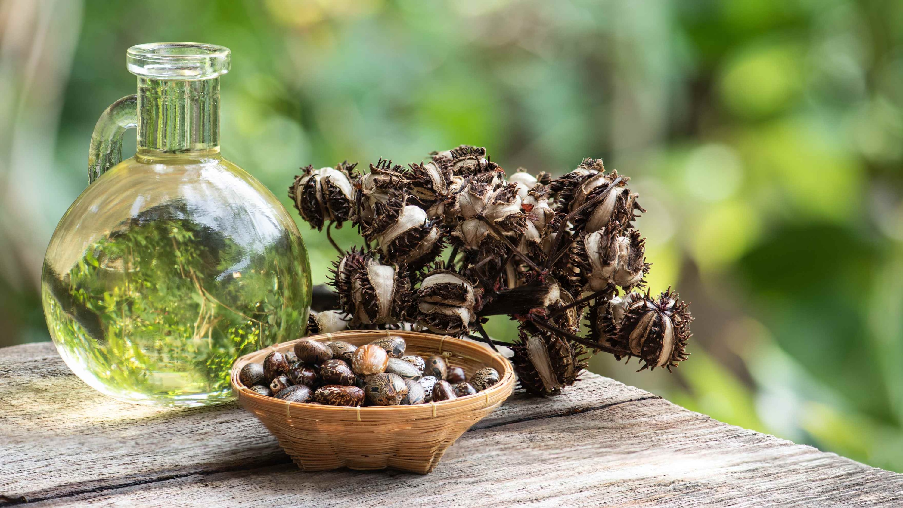 Benefits of Castor Oil for Eyebrows -