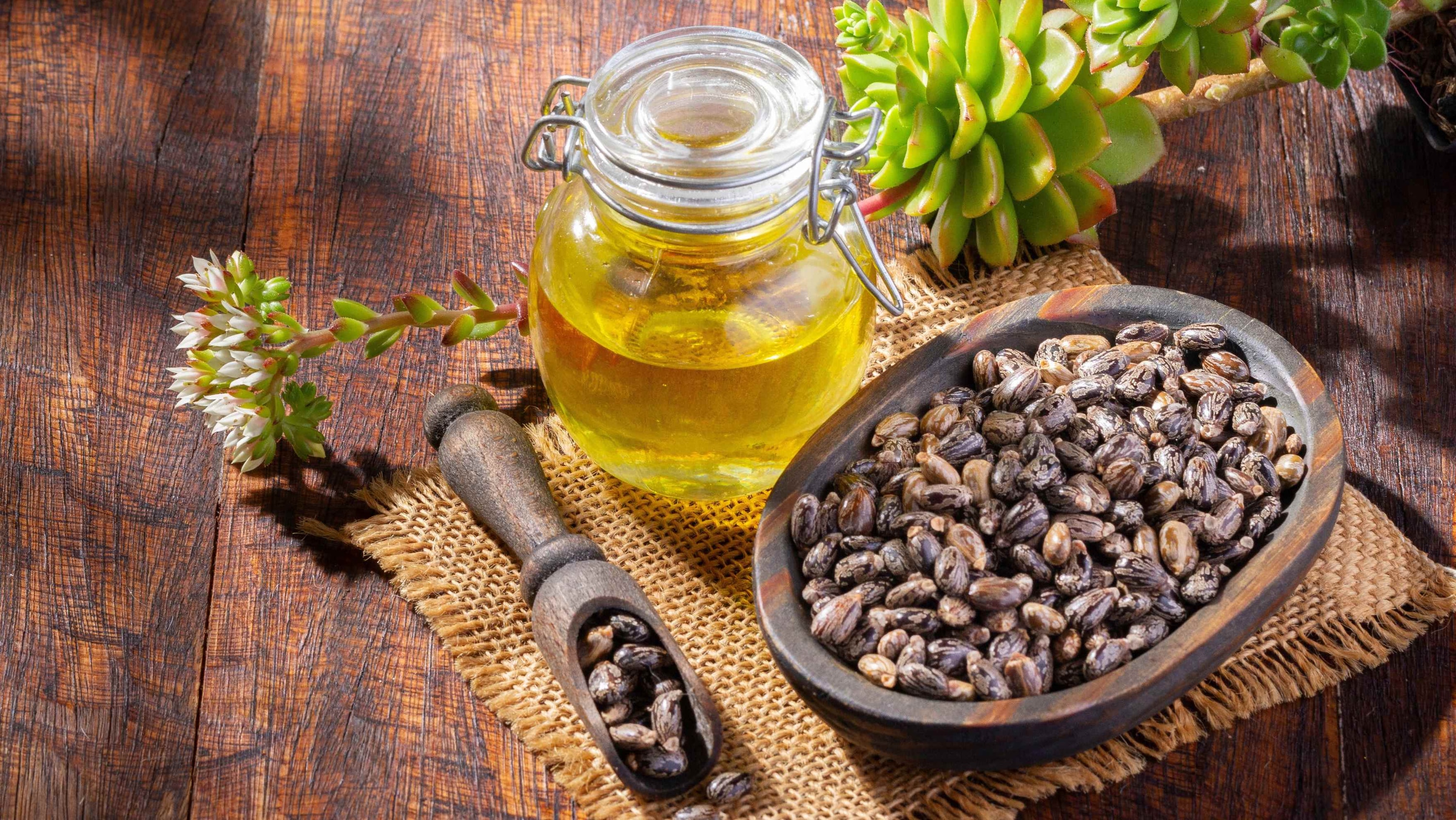 What Is Castor Oil? -