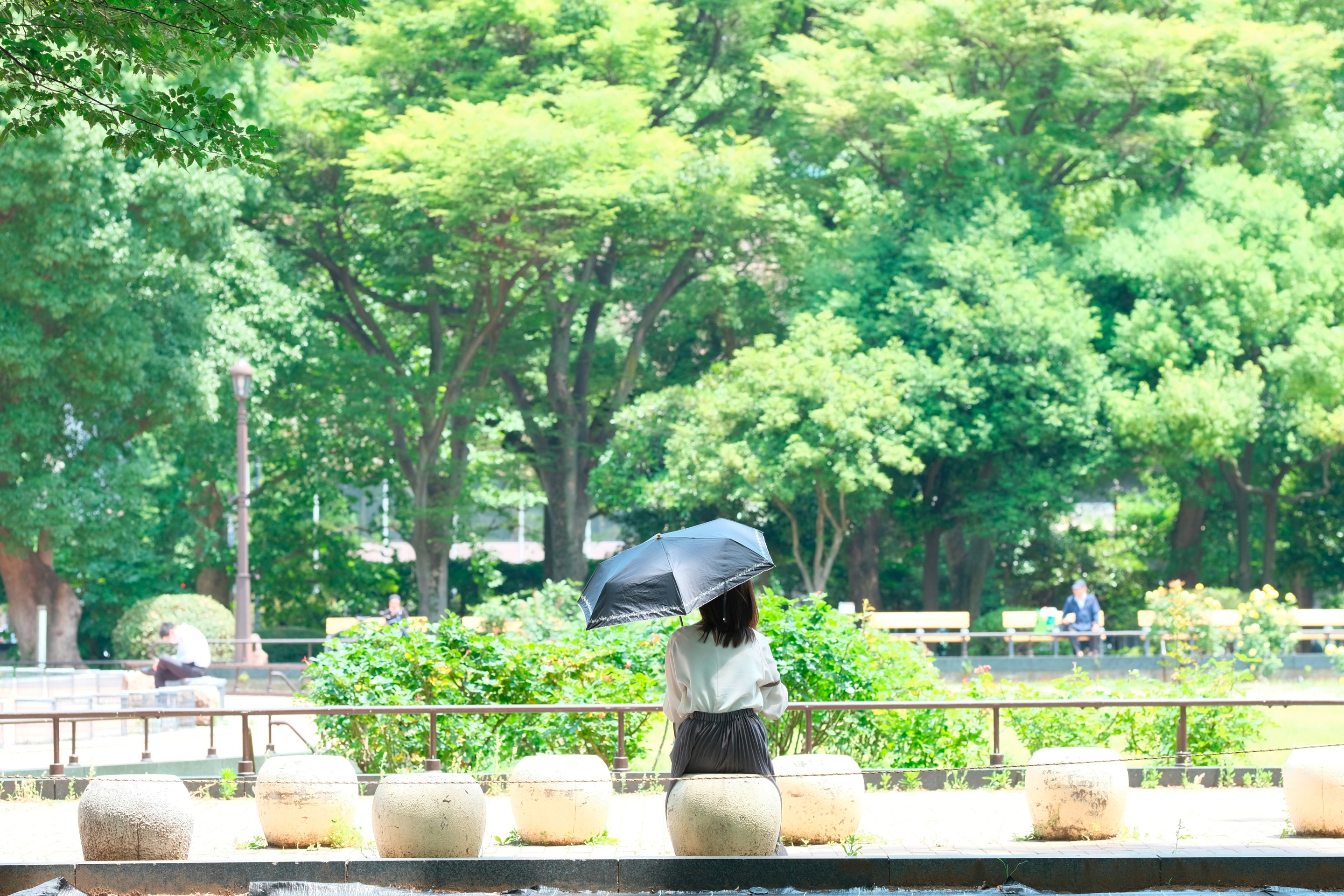 Asian woman sitting in green park with umbrella.