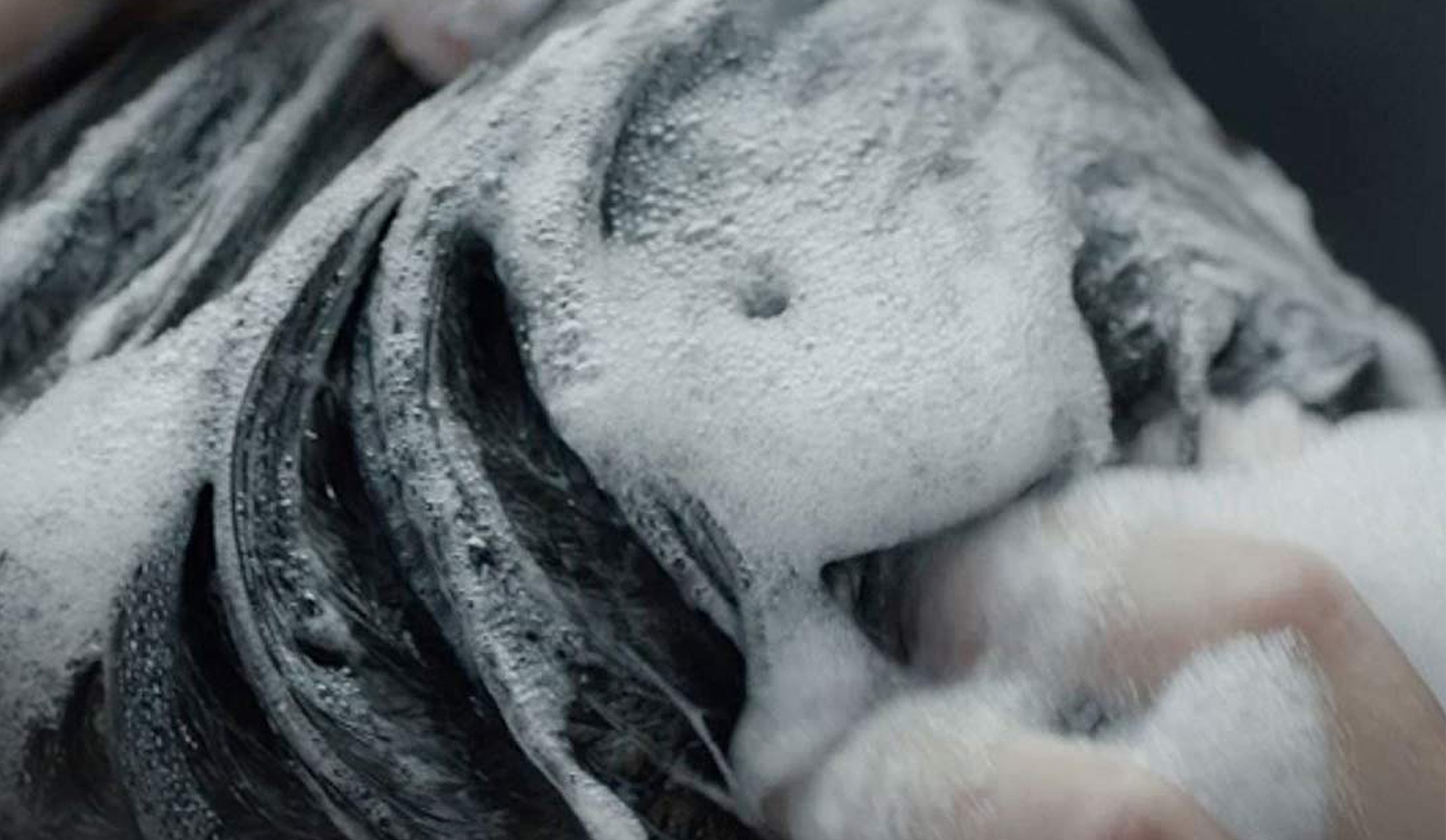 Shampoo lathered hair