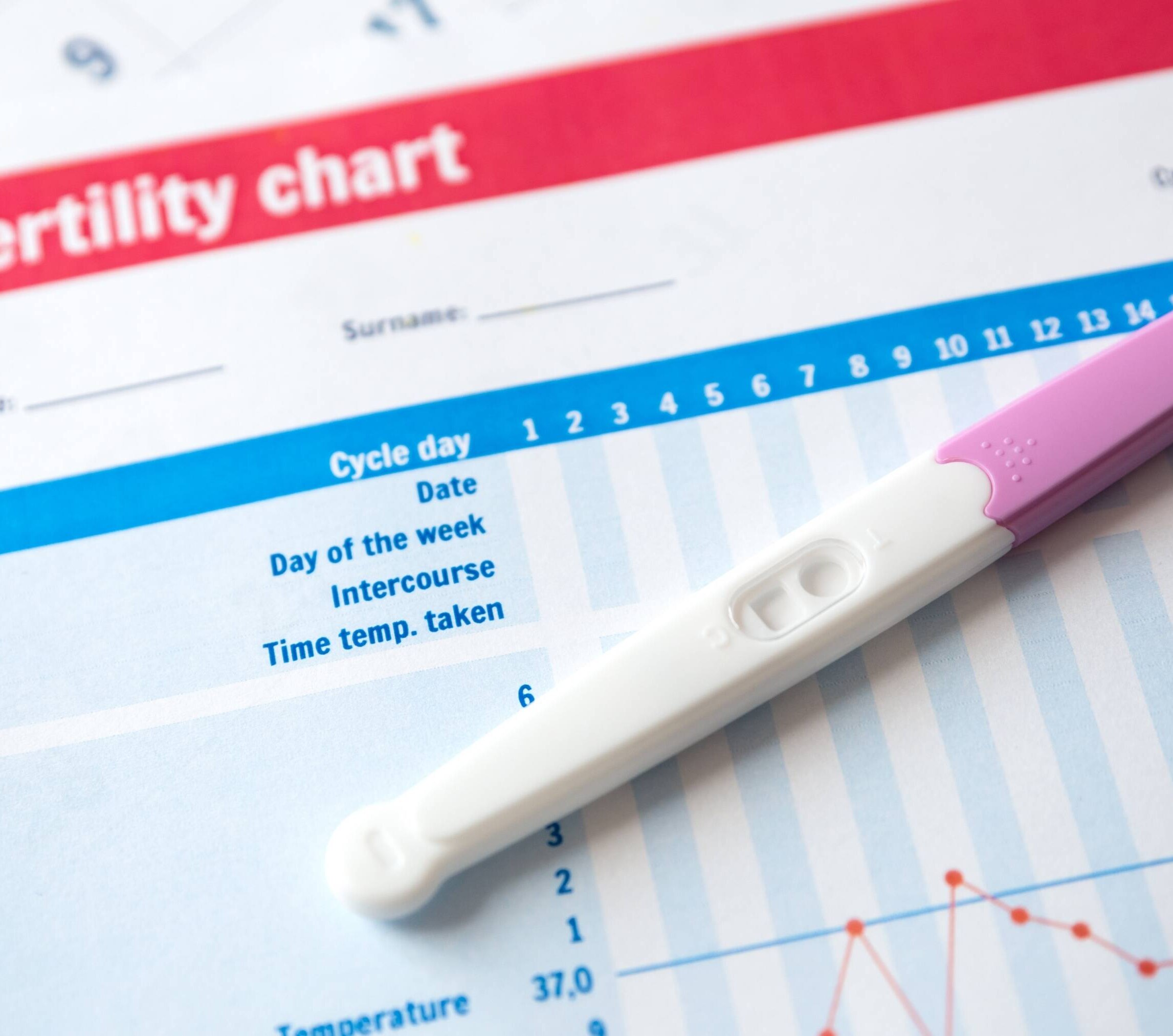 Image of Fertility in Women: Signs, Common Issues, and Foods That May Help