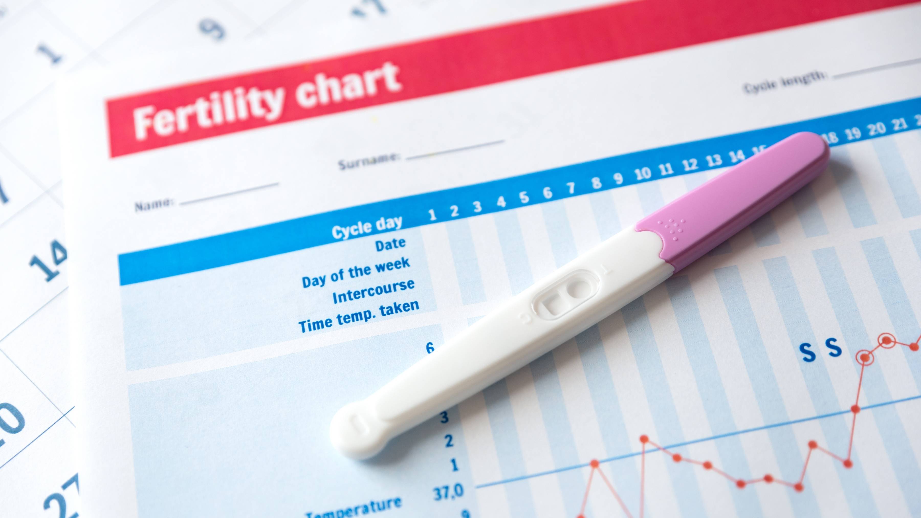 Fertility in women signs causes and foods that may help