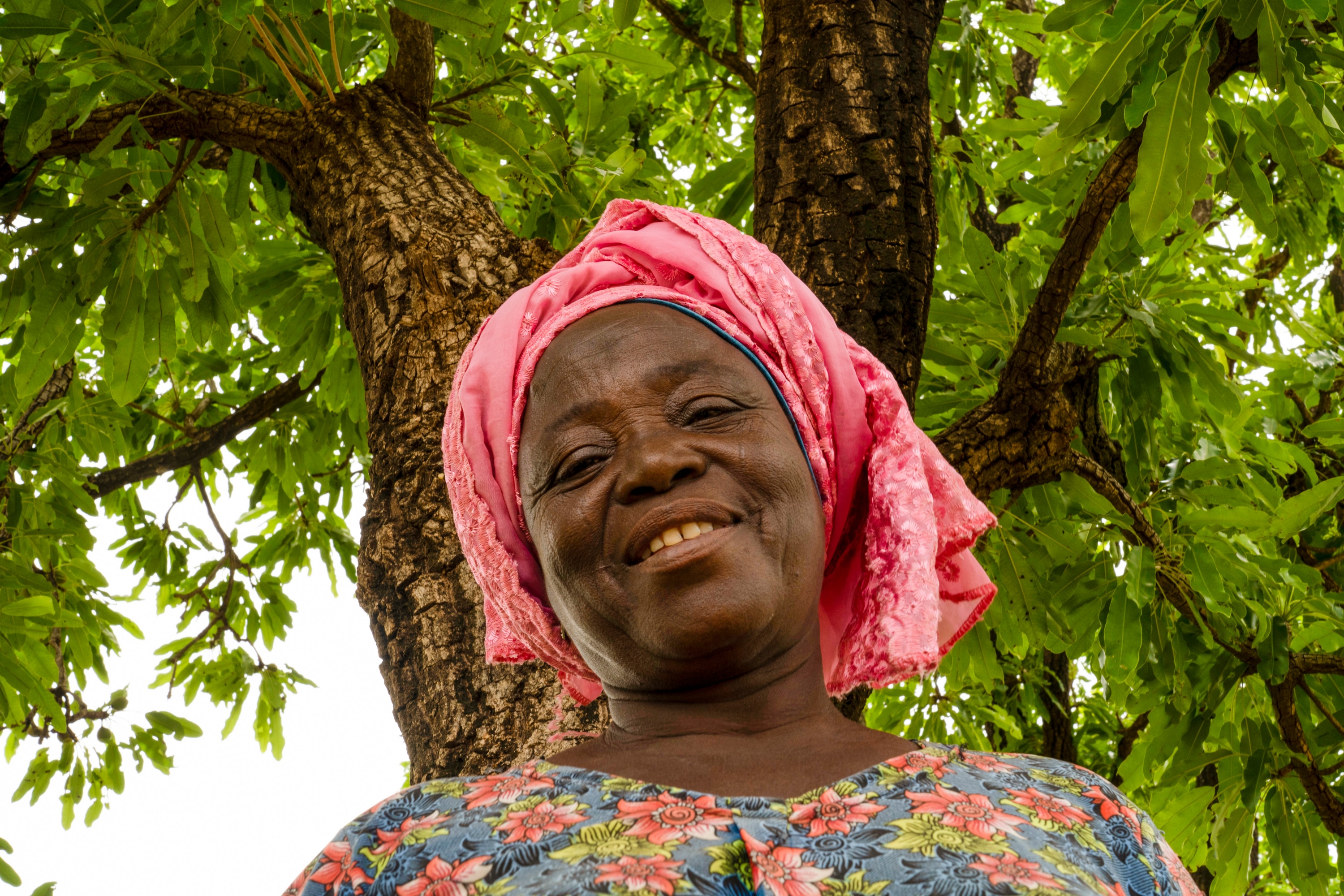 The Savannah Fruits Company