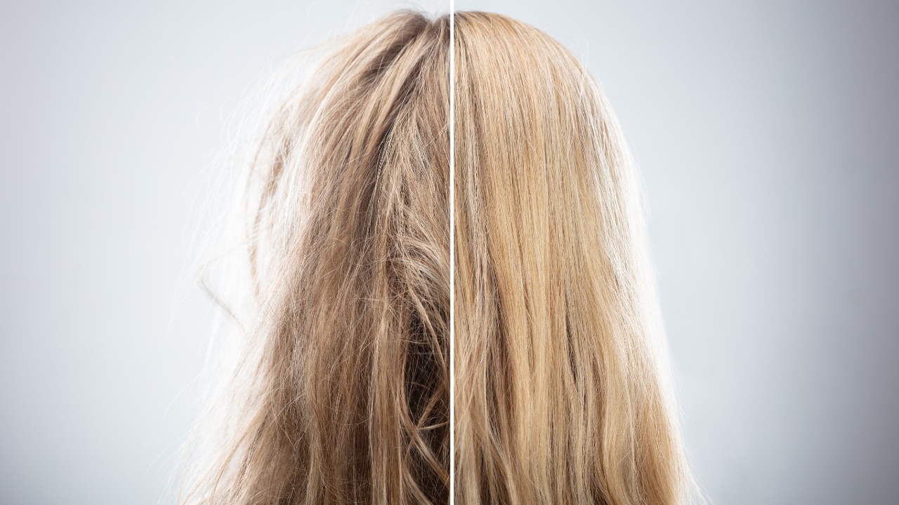For Dry Hair