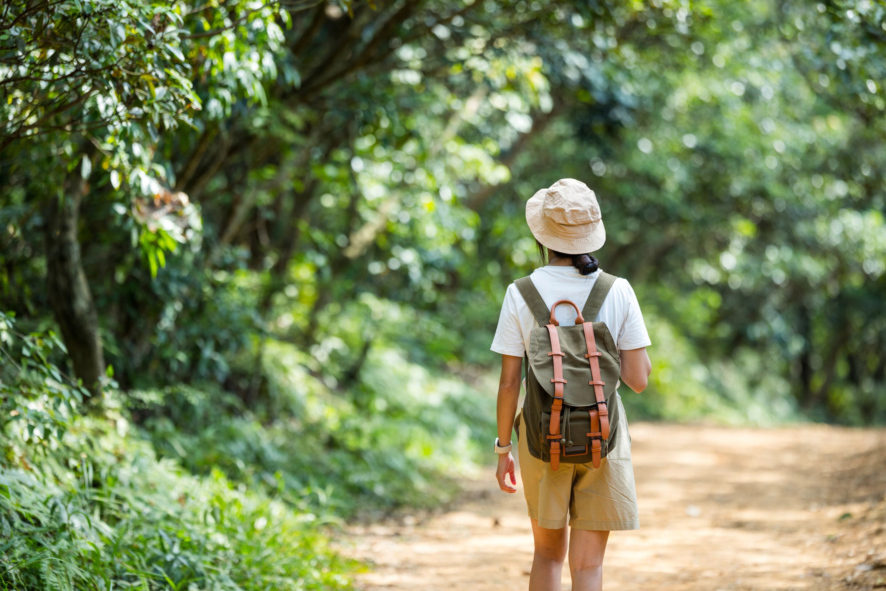 Back of Asian woman in hat hiking.