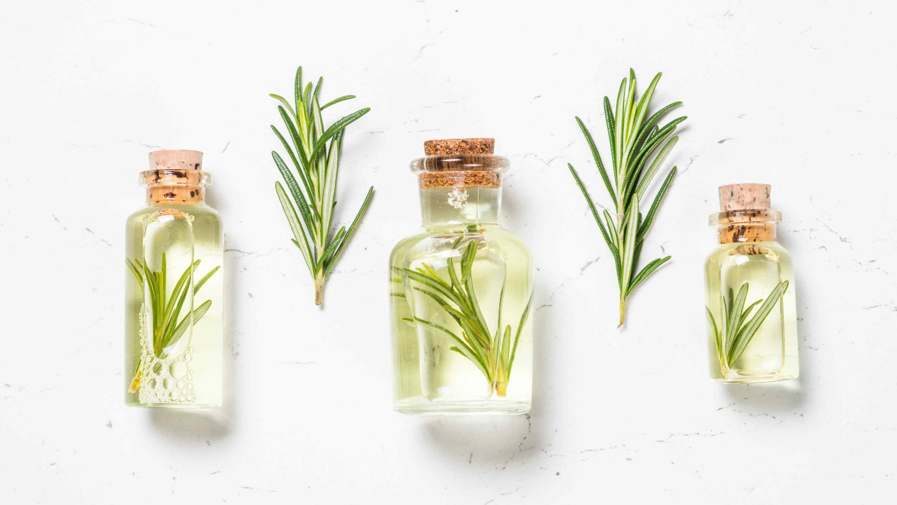 Rosemary Water vs. Rosemary Oil — What’s the Difference?