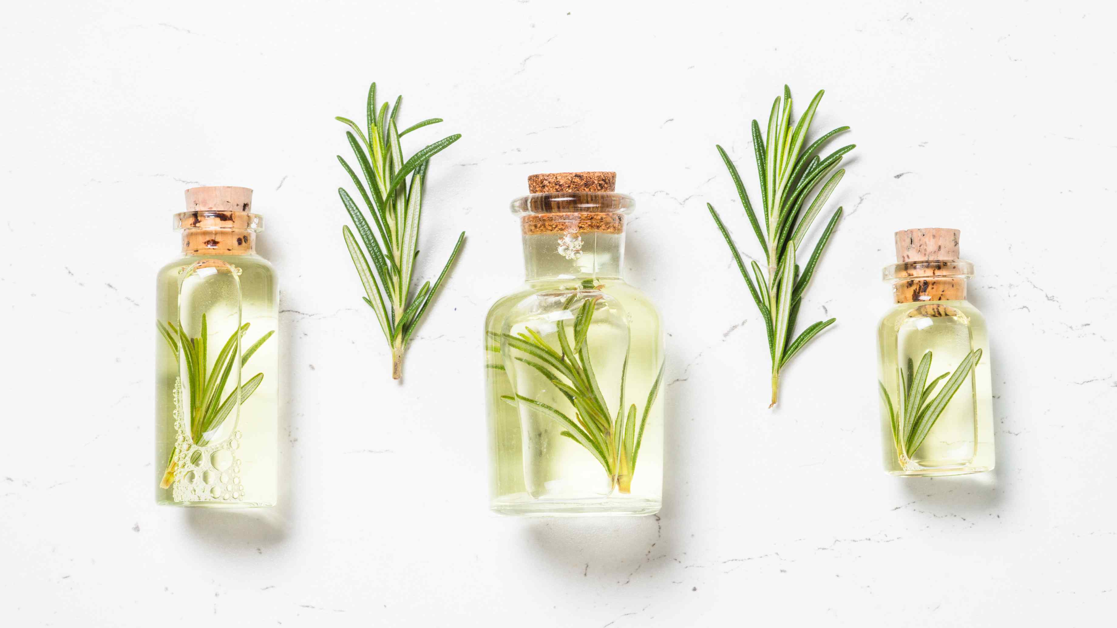 Rosemary Water vs. Rosemary Oil — What’s the Difference?