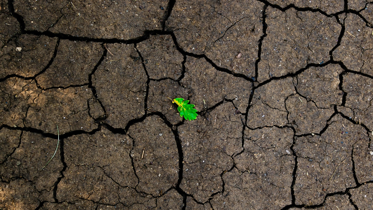 2. Earth Signs – Taurus, Virgo, Capricorn