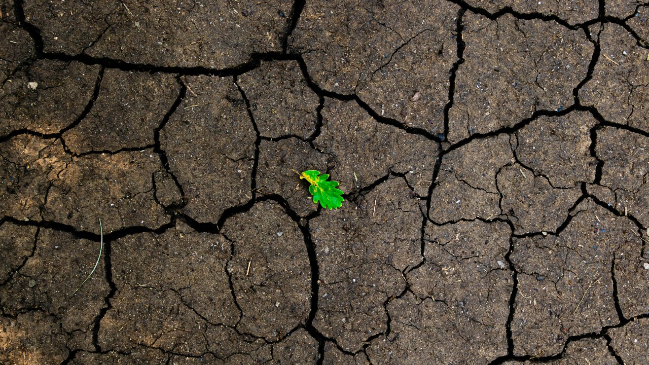 2. Earth Signs – Taurus, Virgo, Capricorn