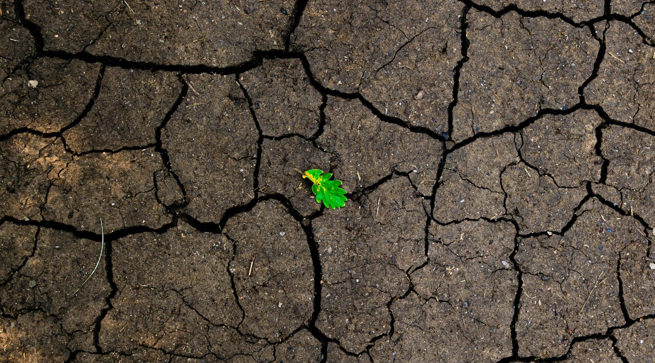 2. Earth Signs – Taurus, Virgo, Capricorn