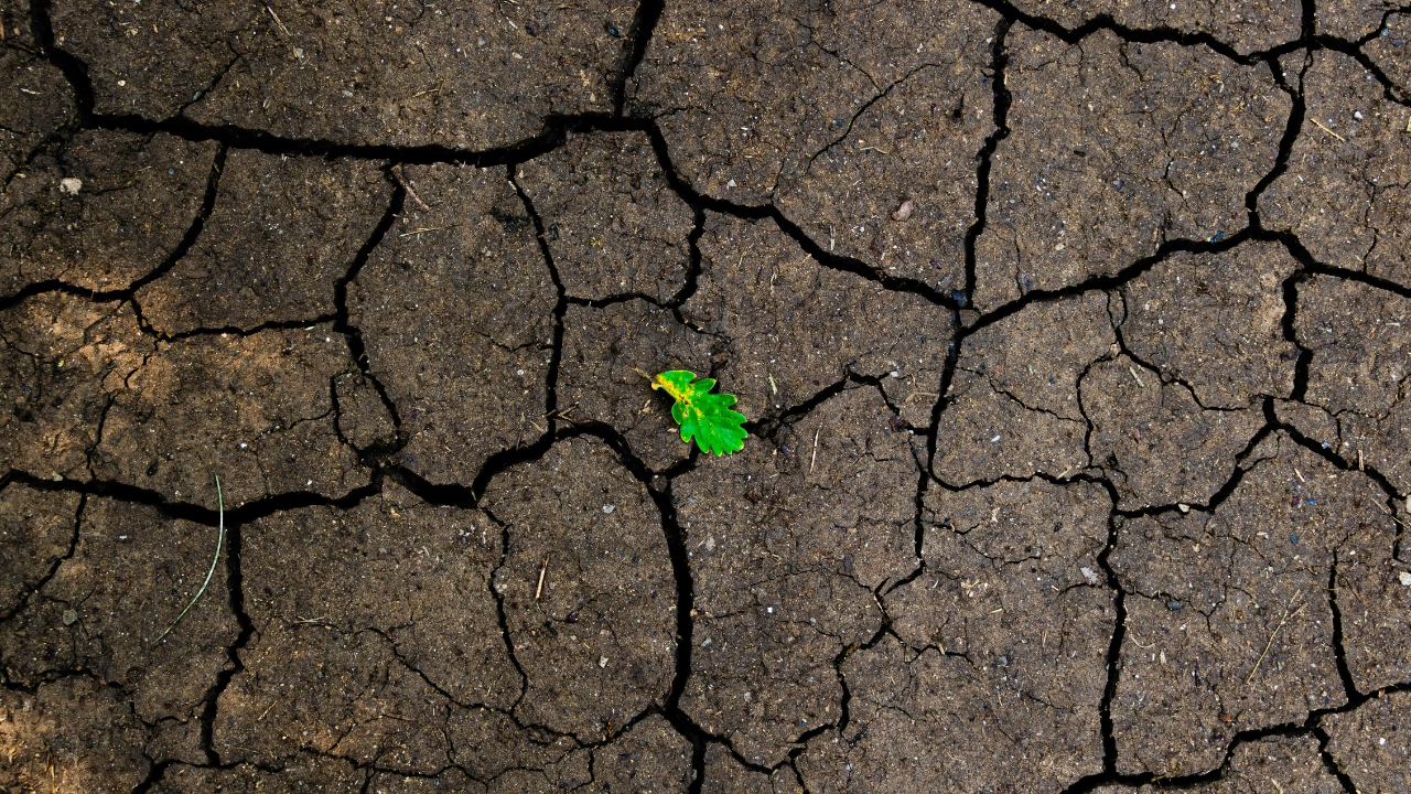2. Earth Signs – Taurus, Virgo, Capricorn