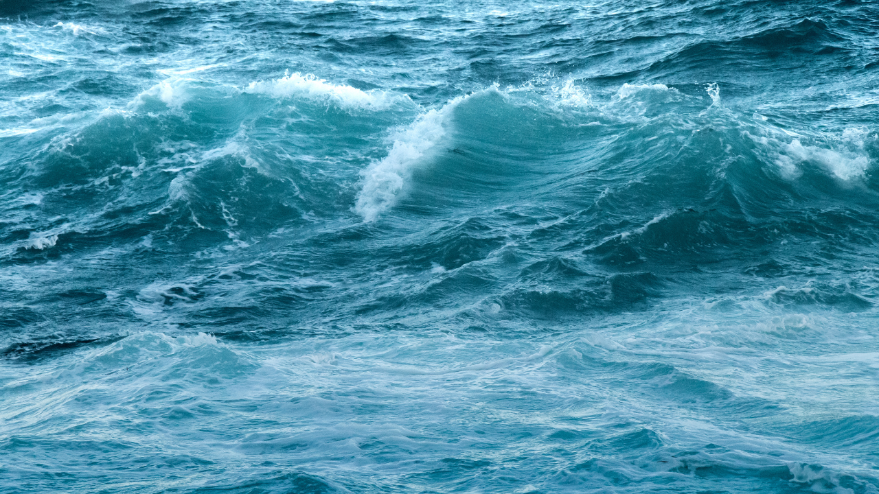 4. Water Signs – Cancer, Scorpio, Pisces