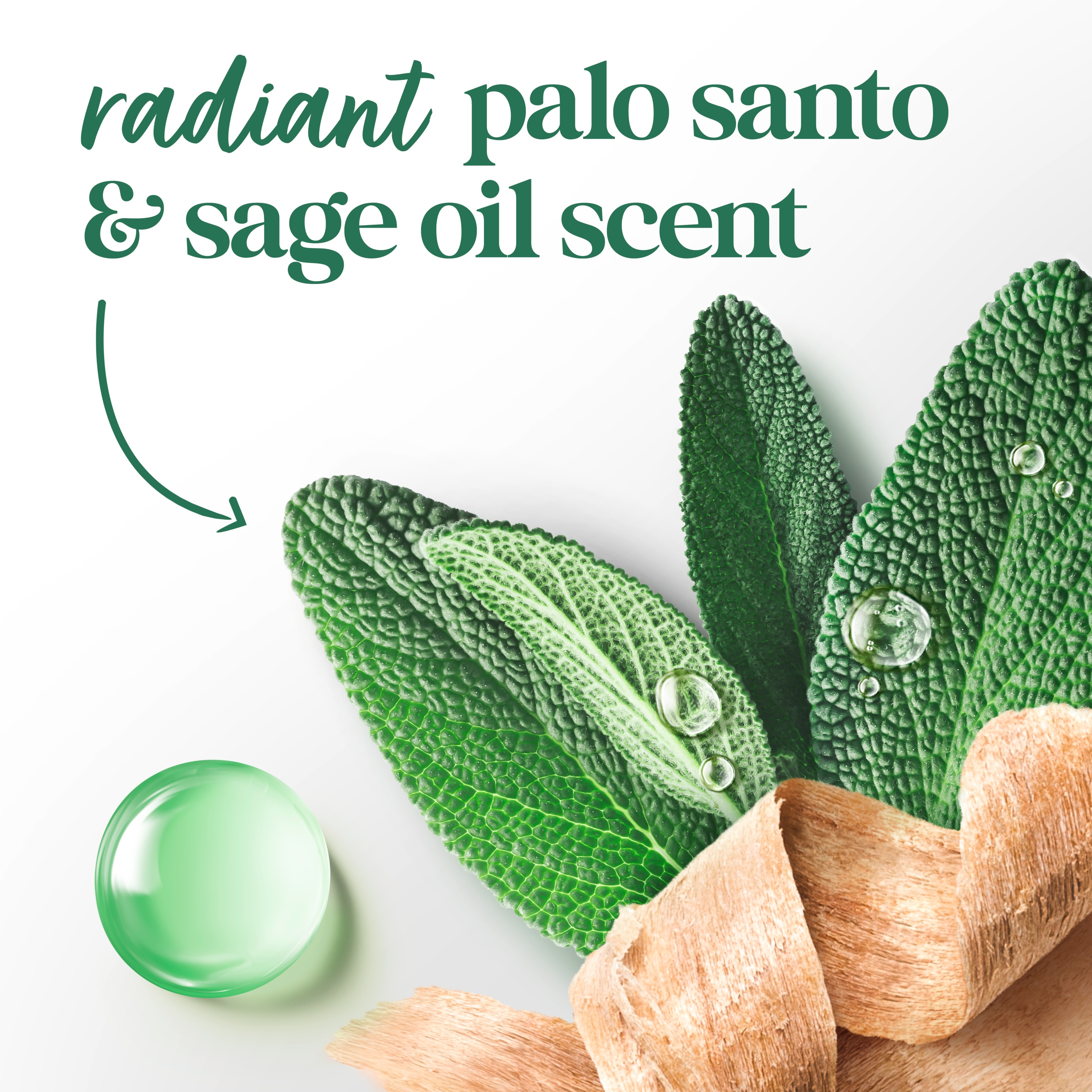 Limited Edition Palo Santo & Sage Antiperspirant Spray
