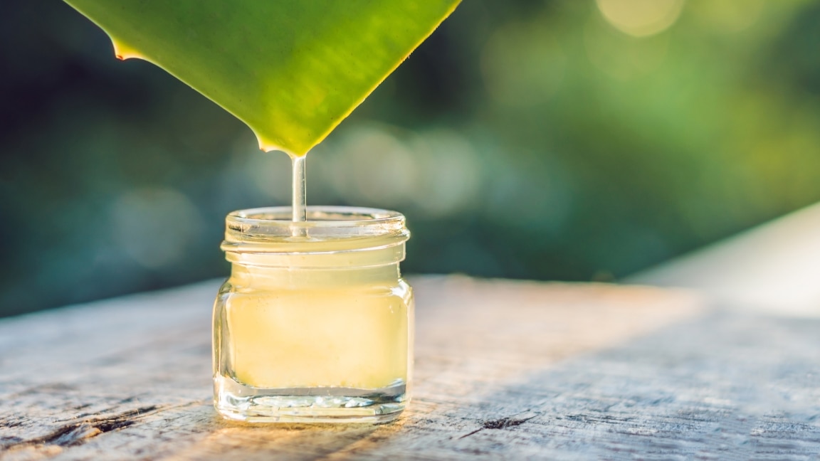 linking article: Aloe Vera Face Mask: Key Benefits and DIY Recipes for All Skin Types
