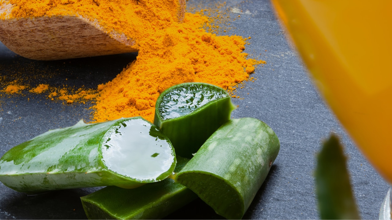 2. Aloe Vera + Turmeric + Gram Flour (for Acne & Oil Control)