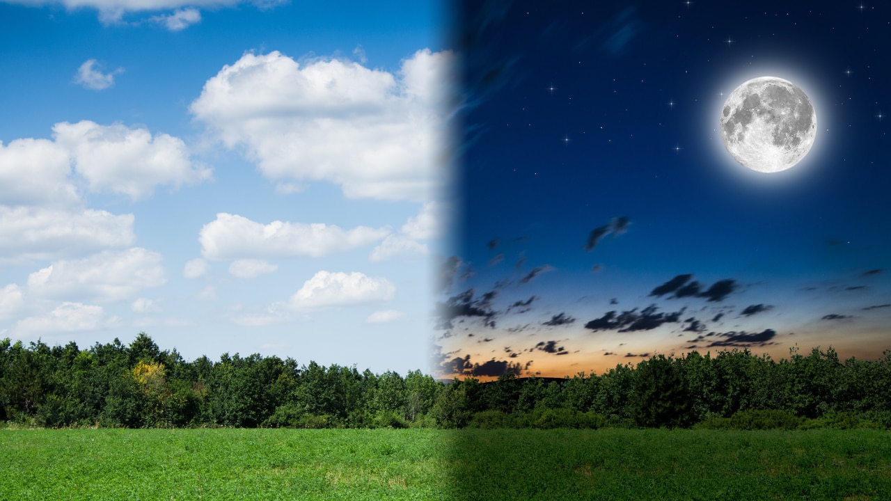 Morning vs. Night Korean Skincare Routine