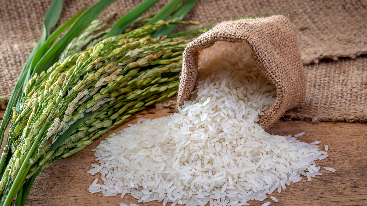 Rice Water: