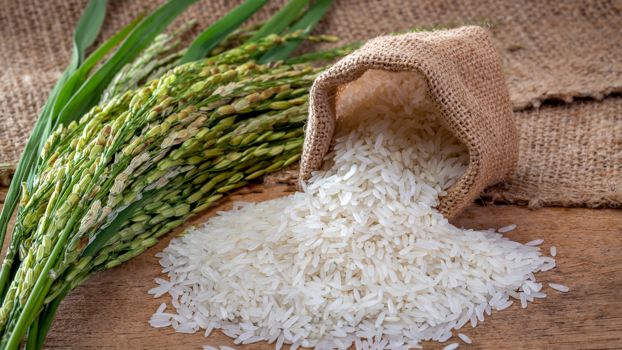 Rice Water:
