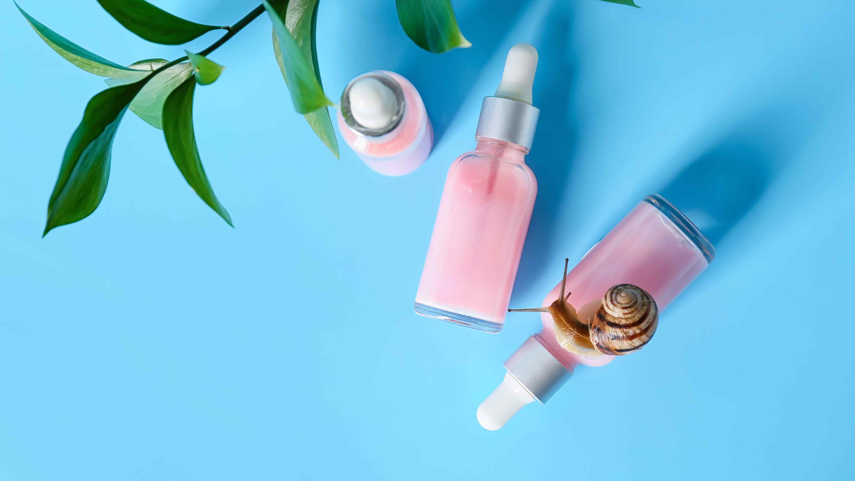 Apply Snail Mucin (Essence or Serum):