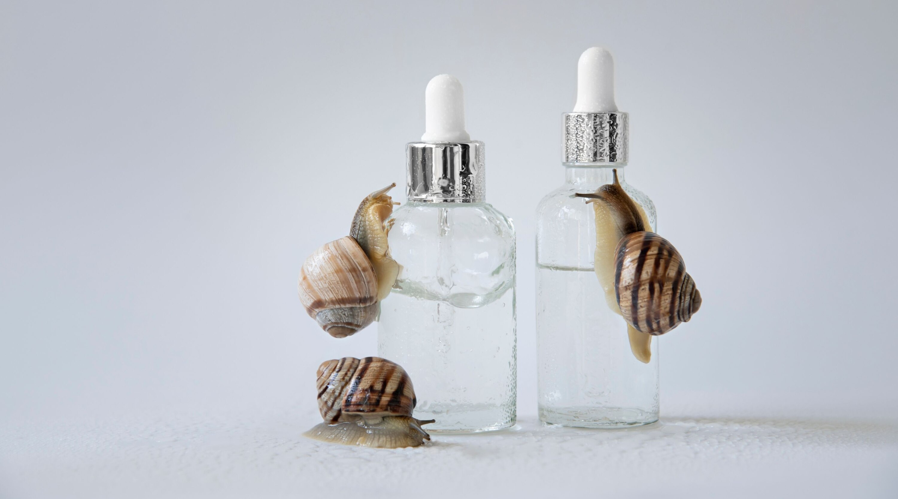 Snail Mucin Skincare for Smooth and Radiant Skin