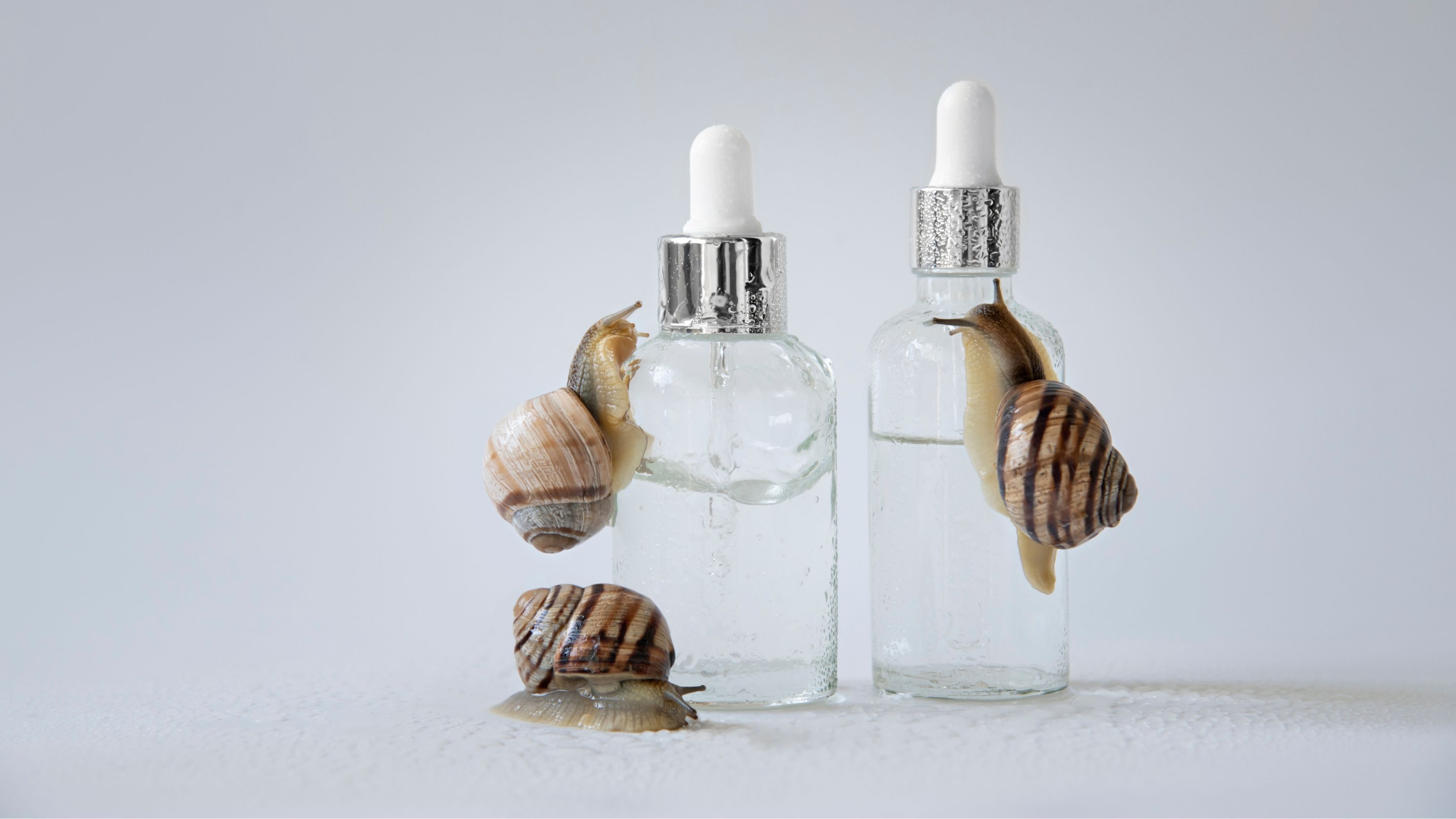 Snail Mucin Skincare for Smooth and Radiant Skin