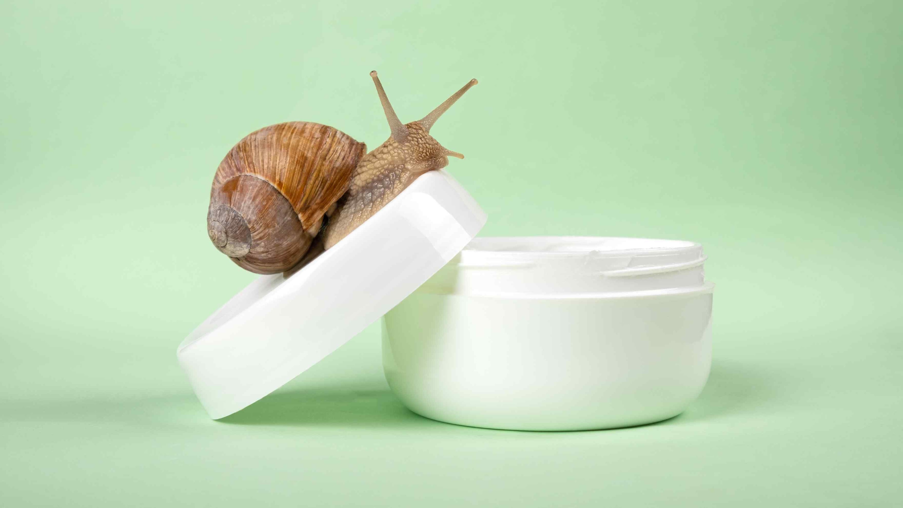 What Is Snail Mucin?