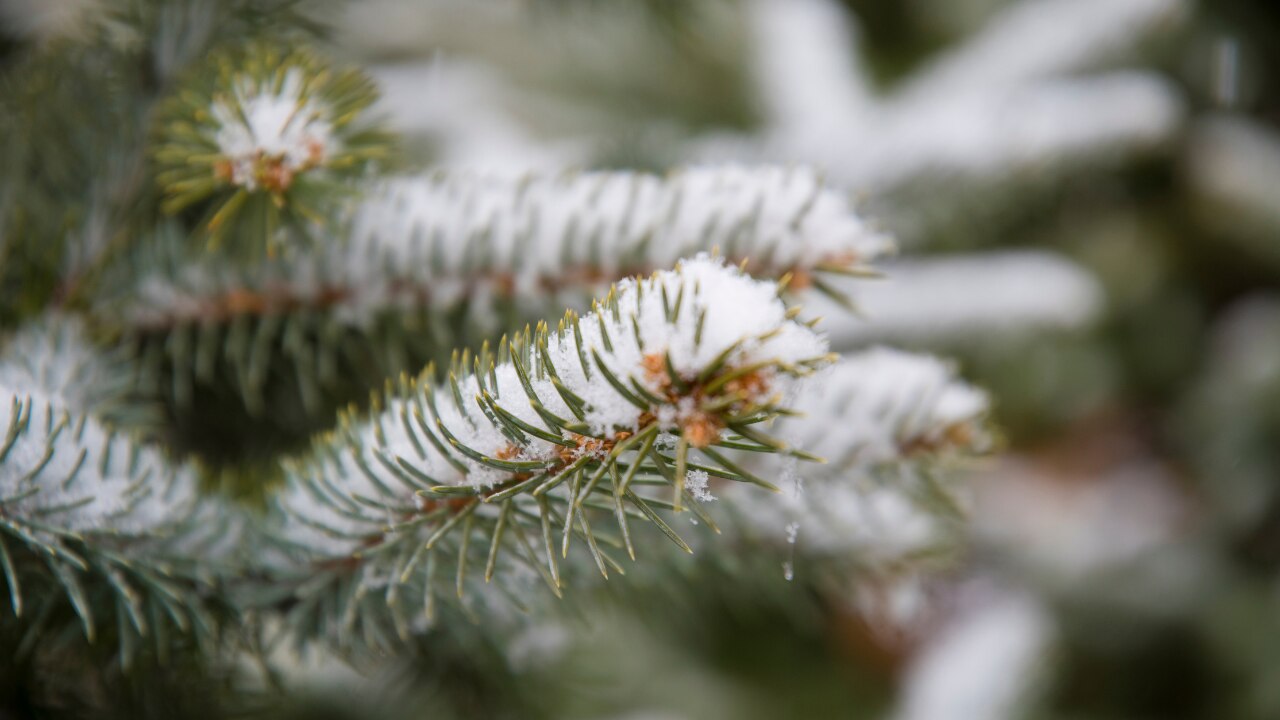 Offers Protection from Harsh Weather: