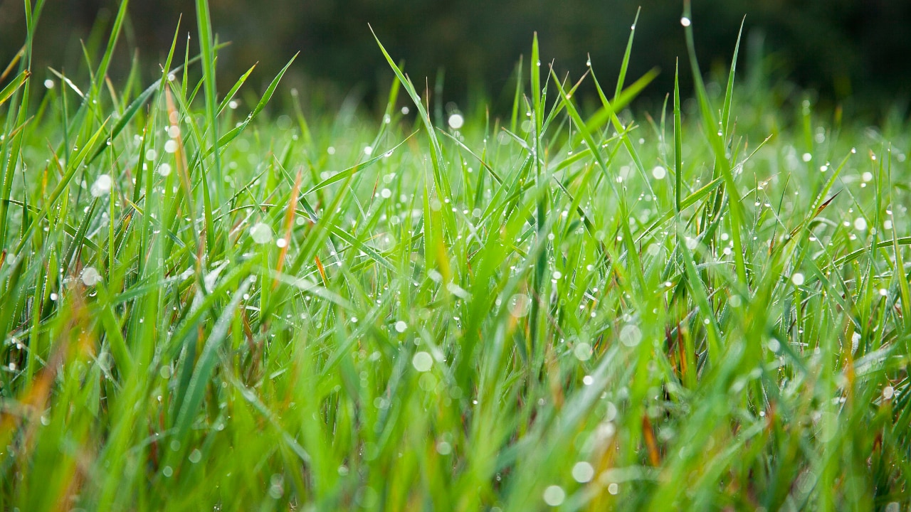 Warm, Moist Environments: